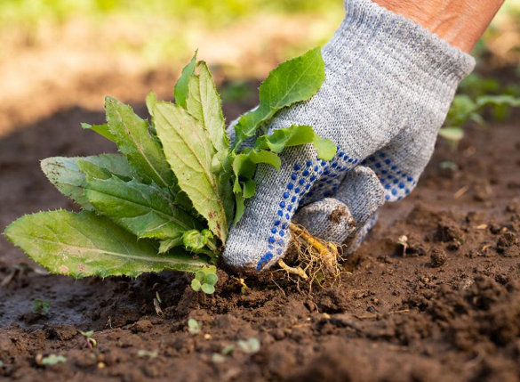 de nombreuses activites pour les petits et les grands
