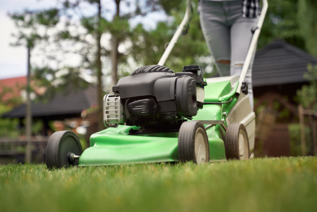 de nombreuses activites pour les petits et les grands